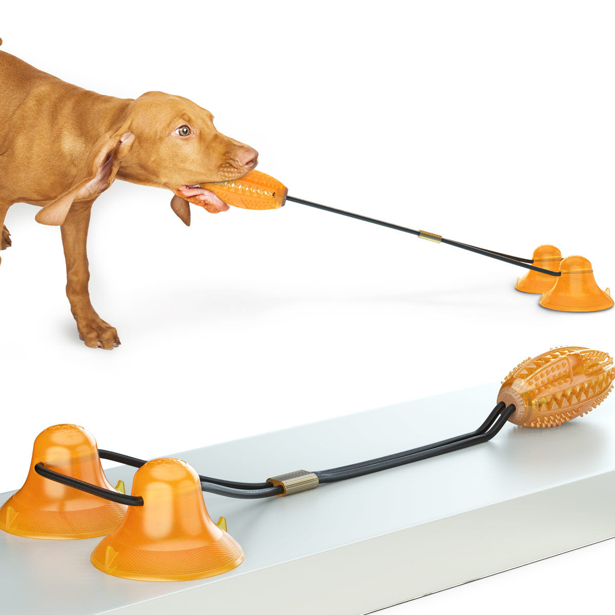 Unleash the Fun with the Pet Double Tug Rope Ball Suction Chew Toy