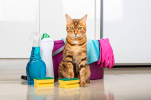 Keep Your Pets Clean & Fresh by bath supplies